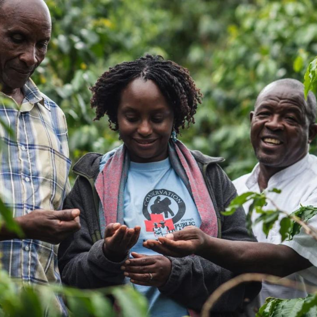 Image courtesy Gorilla Conservation Coffee