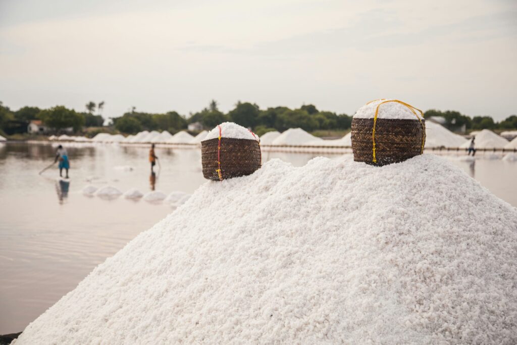 Asilia Salt Tanzania