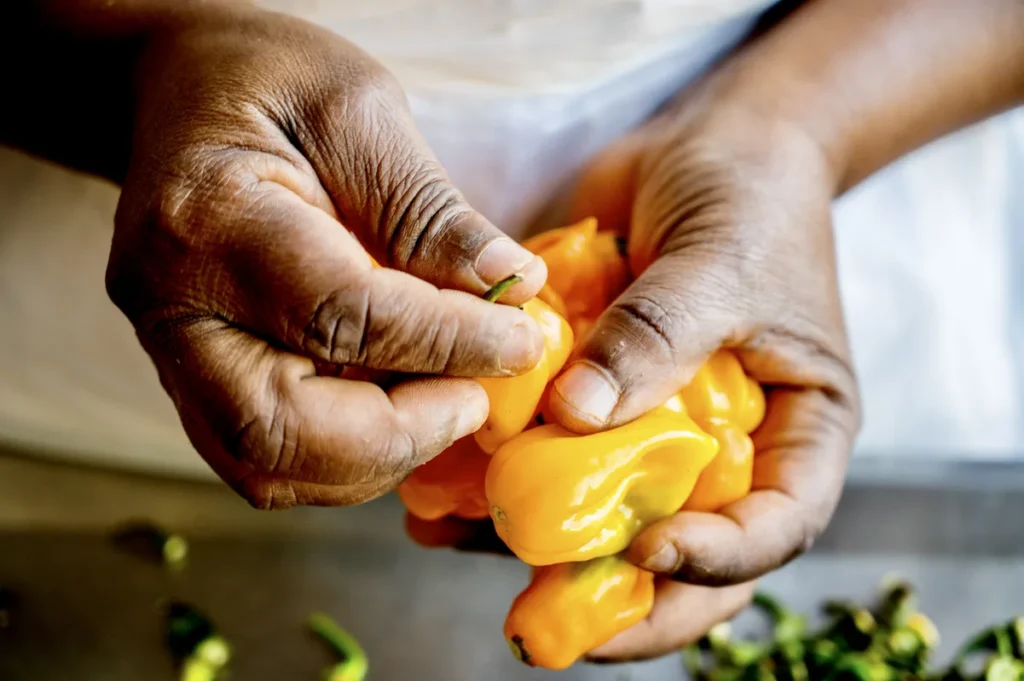 Black Mamba Foods - Chilli | South Africa