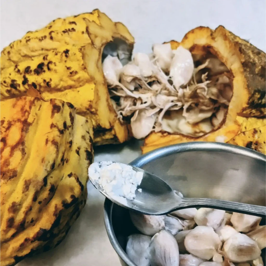 Cocoa Supply - Chocolate | Ecuador